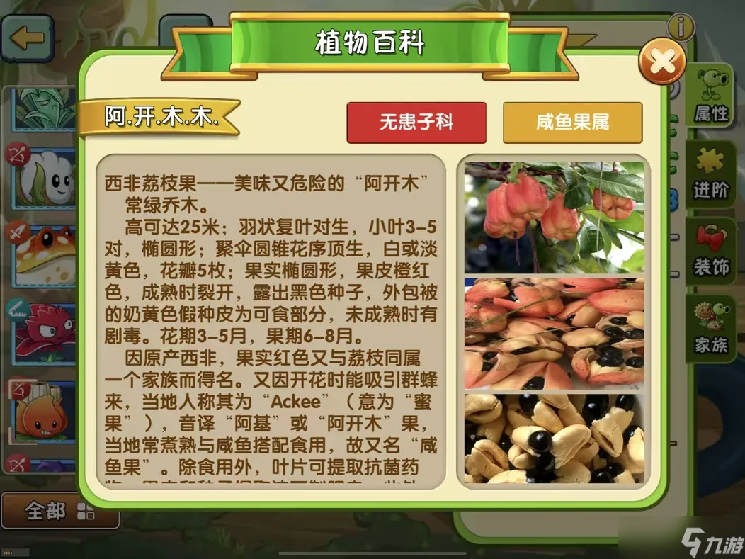 植物大戰(zhàn)僵尸2【新版本前瞻】植物百科功能更新