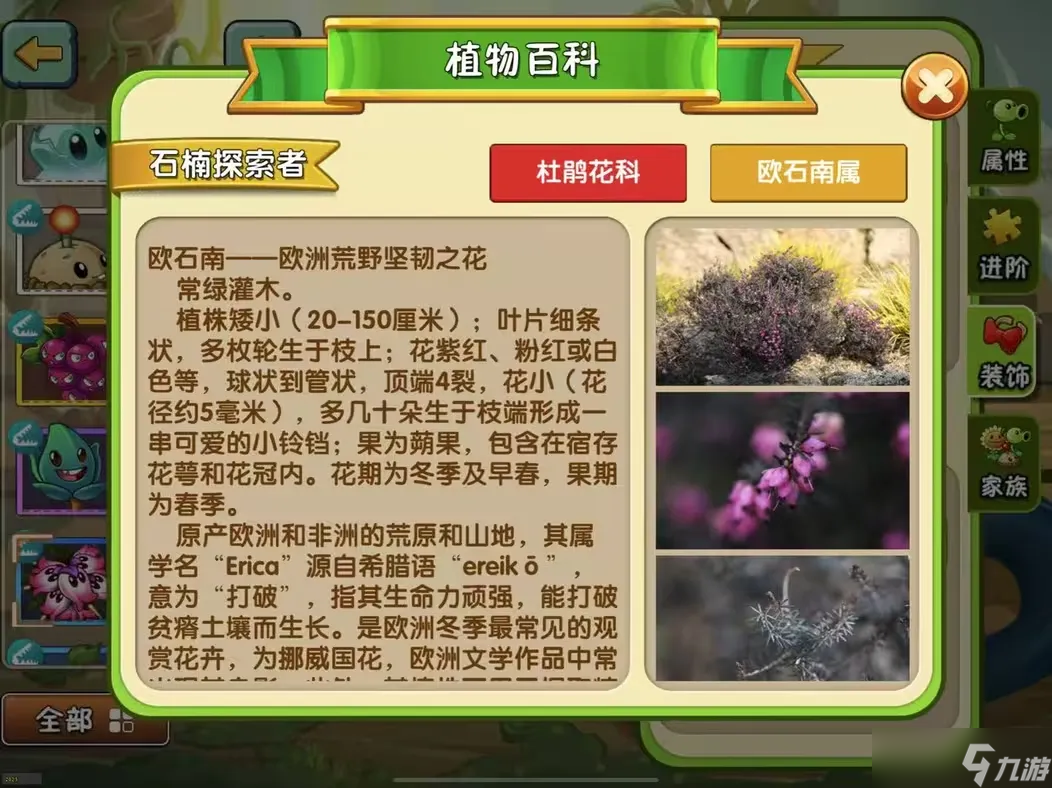 植物大戰(zhàn)僵尸2【新版本前瞻】植物百科功能更新