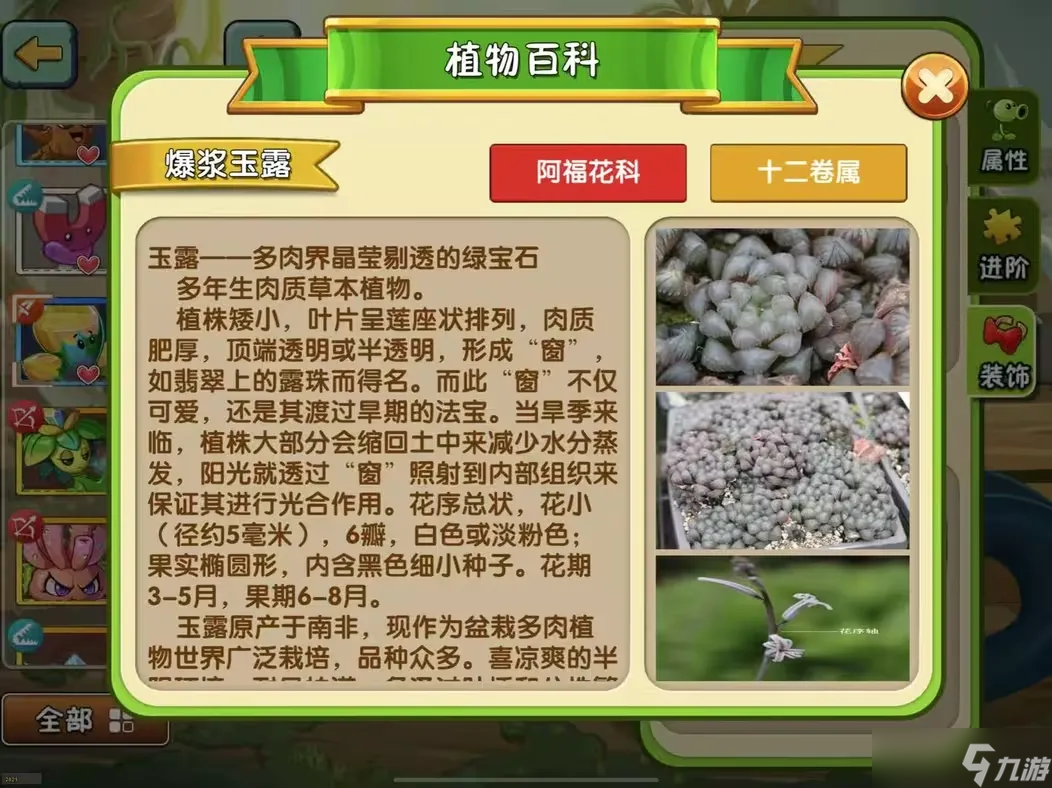 植物大戰(zhàn)僵尸2【新版本前瞻】植物百科功能更新