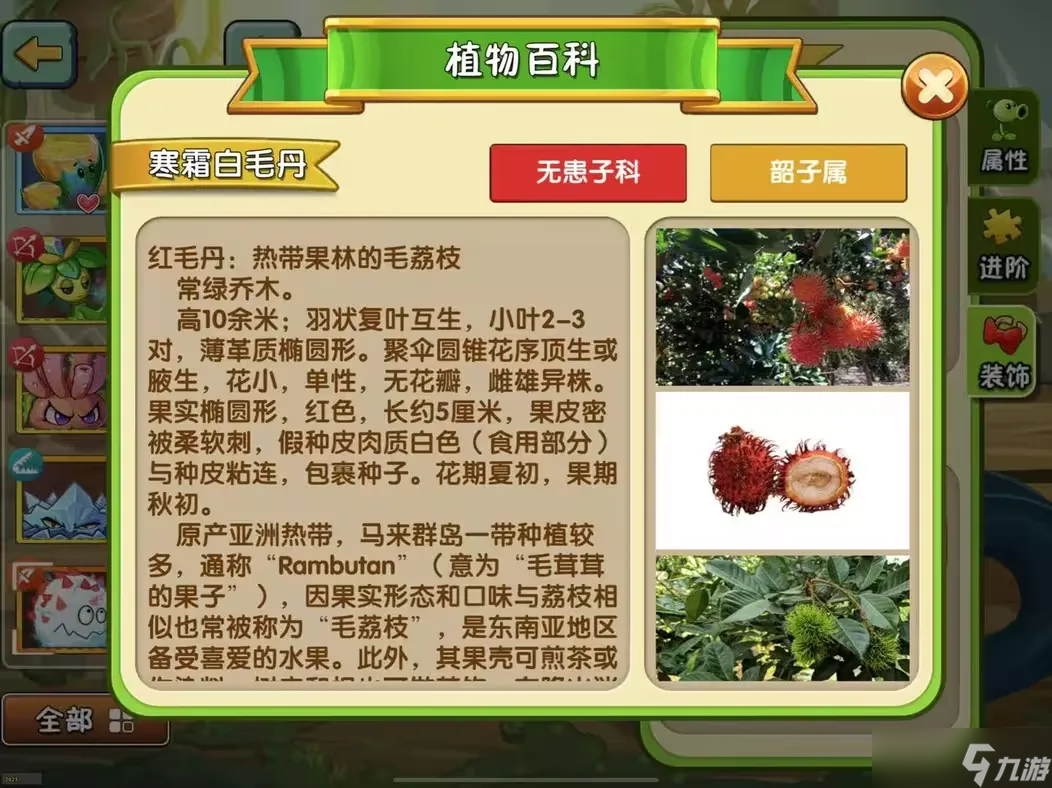 植物大战僵尸2【新版本前瞻】植物百科功能更新