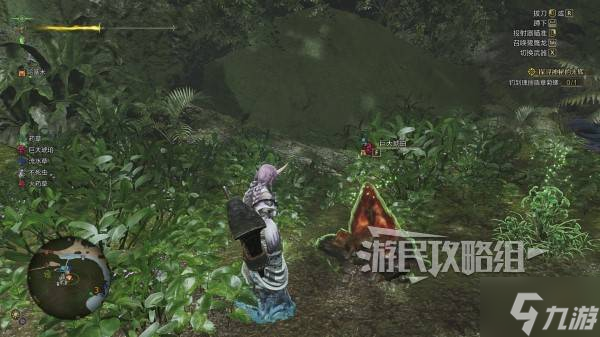 《怪物猎人荒野》悠久的大绯琥珀位置及获取方法 悠久的大绯琥珀在哪