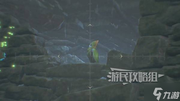 《怪物猎人荒野》端丽翼鸟位置及捕获方法 端丽翼鸟在哪抓
