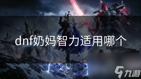 dnf奶妈智力适用哪个
