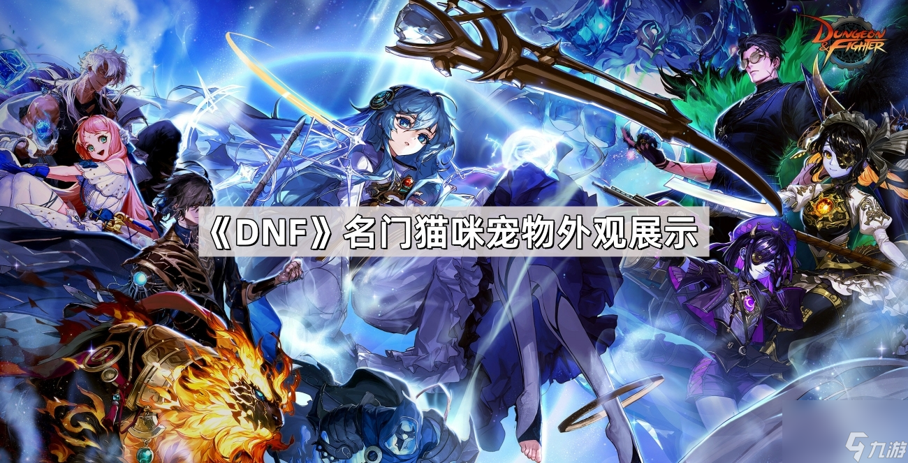 《DNF》名門貓咪寵物外觀展示