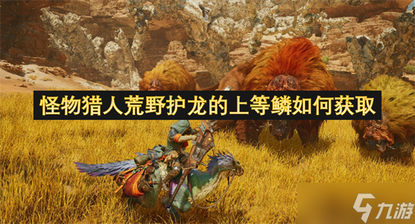 怪物猎东说念主野外护龙的上等鳞怎么获得