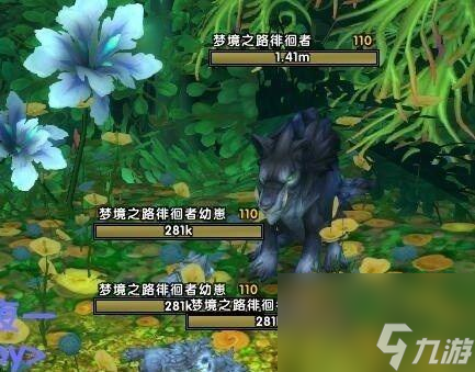 魔兽世界宠物喂食方法是什么？如何保持宠物健康？