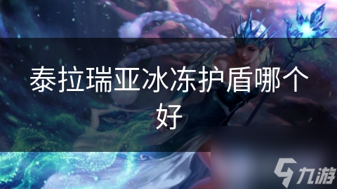 泰拉瑞亚冰冻护盾哪个好