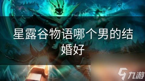 星露谷物语哪个男的结婚好
