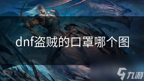 dnf盗贼的口罩哪个图