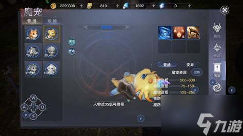 新神魔大陆血魔带什么魔宠