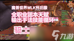 魔獸世界WLK懲戒騎高效輸出手法詳解