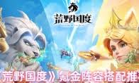 荒野国度玉藻前英雄技能详解