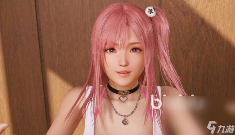 死或生维纳斯璀璨假期steam叫什么 死或生维纳斯璀璨假期英文名介绍