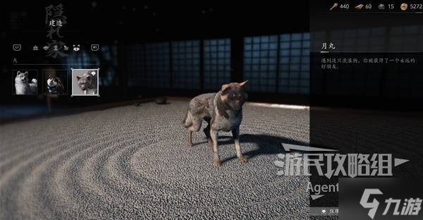 《刺客信條影》忠犬伸冤支線任務(wù)攻略 忠犬伸冤支線怎么做