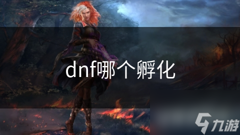 dnf哪个孵化