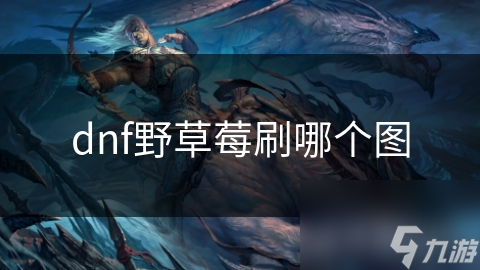 dnf野草莓刷哪个图