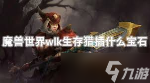 魔獸世界WLK懷舊服：獸王獵寶石選擇全攻略！