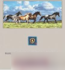 这就是江湖马怎么挑选