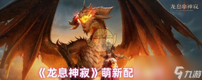 《龙息神寂》萌新配队指南