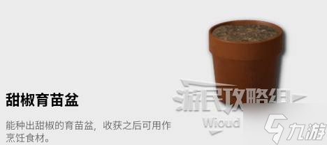 《云族裔inzoi》锁定家具解锁方法 家具怎么解锁