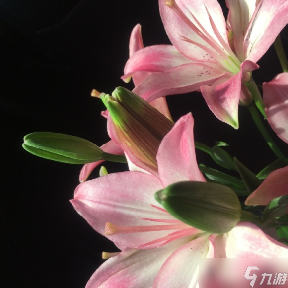 《英雄联盟》一生好运的名字汇总