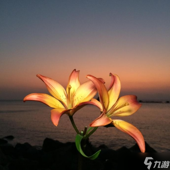 《英雄联盟》一生好运的名字汇总