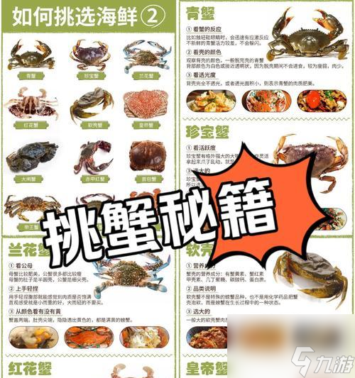 潜水员戴夫如何应对螃蟹攻击？有哪些有效的击退方法？