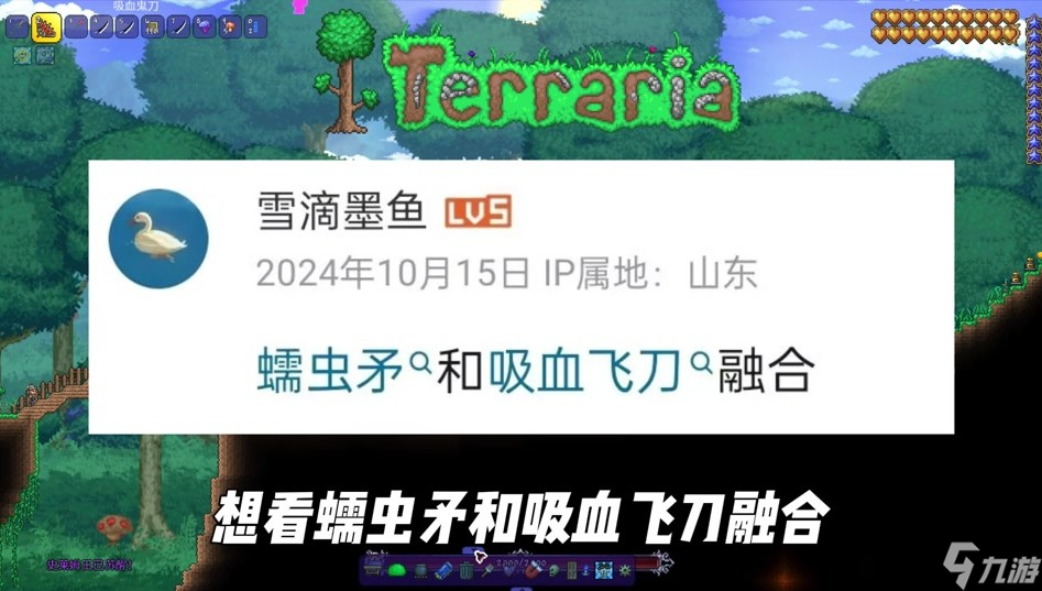 泰拉瑞亚混沌精介绍一览