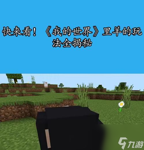 我的世界中羊的建造方法？羊的繁殖技巧是什么？