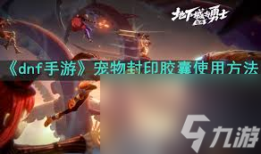 dnf宠物封印胶囊怎么用