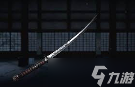 刺客信条影传奇武器图鉴是什么