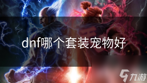 dnf哪个套装宠物好