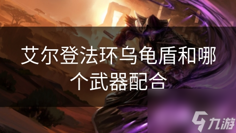 艾爾登法環(huán)烏龜盾和哪個武器配合