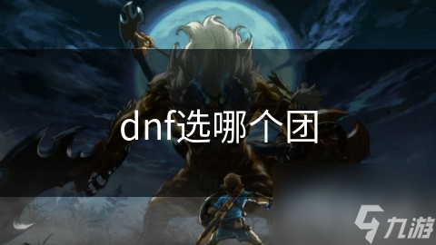 dnf选哪个团