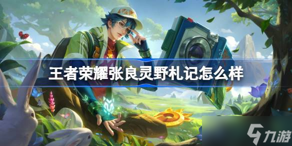 王者荣耀张良灵野札记怎么样 王者荣耀张良灵野札记皮肤特效一览