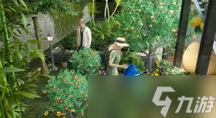 云族裔inzoi兵役管理局职业规划是什么