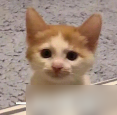 黄金服搬砖工自曝：打副本一天收入上千，能买2克黄金