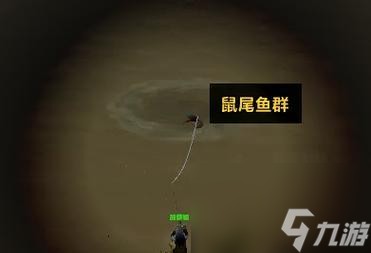 冬鱿鱼在魔兽世界中如何钓取？