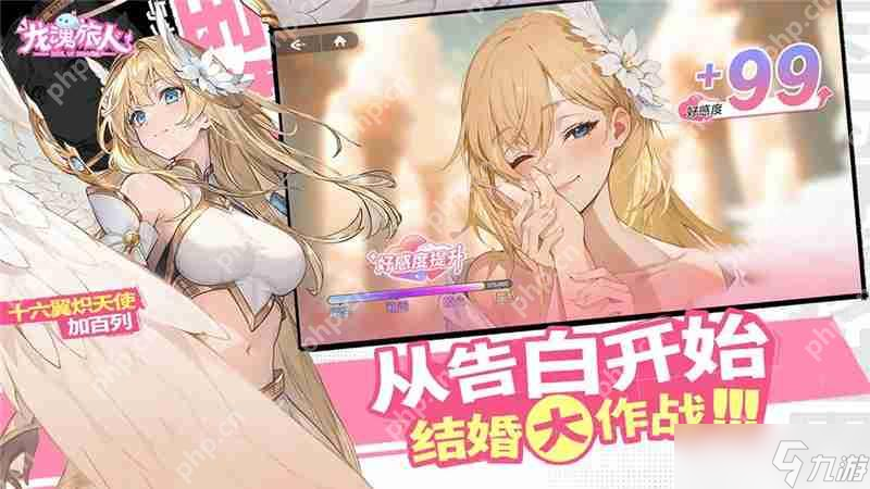 龙魂旅人职业共鸣攻略指南