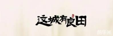 这城有良田李冶阵容如何搭配
