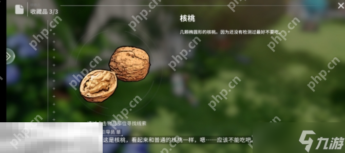 开放空间瓶中小径收藏品在哪 开放空间瓶中小径收藏品位置一览