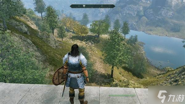 《上古卷轴4重制版》原版画面色彩MOD分享