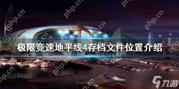 极限竞速地平线4存档在哪里
