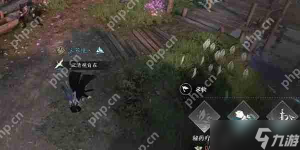 逆水寒摩崖绝境玩法攻略