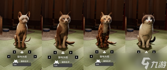 《猫好货坏》重大更新现已上线！