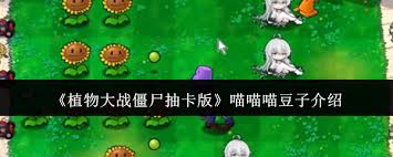 植物大战僵尸抽卡版中喵喵喵豆子是谁