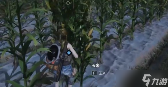 七日世界收获季节任务攻略