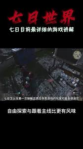 七日世界无价之宝任务通关方法