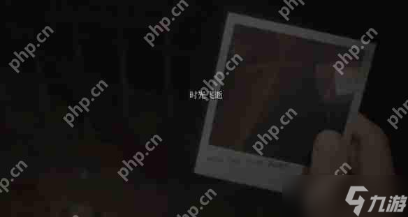 寂静岭2重制版奇怪照片收集攻略
