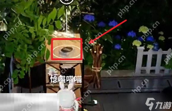 开放空间罗塔花园广场书籍在哪 罗塔花园广场书籍位置